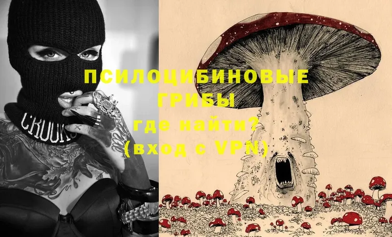 Галлюциногенные грибы Psilocybe  OMG онион  Донецк 